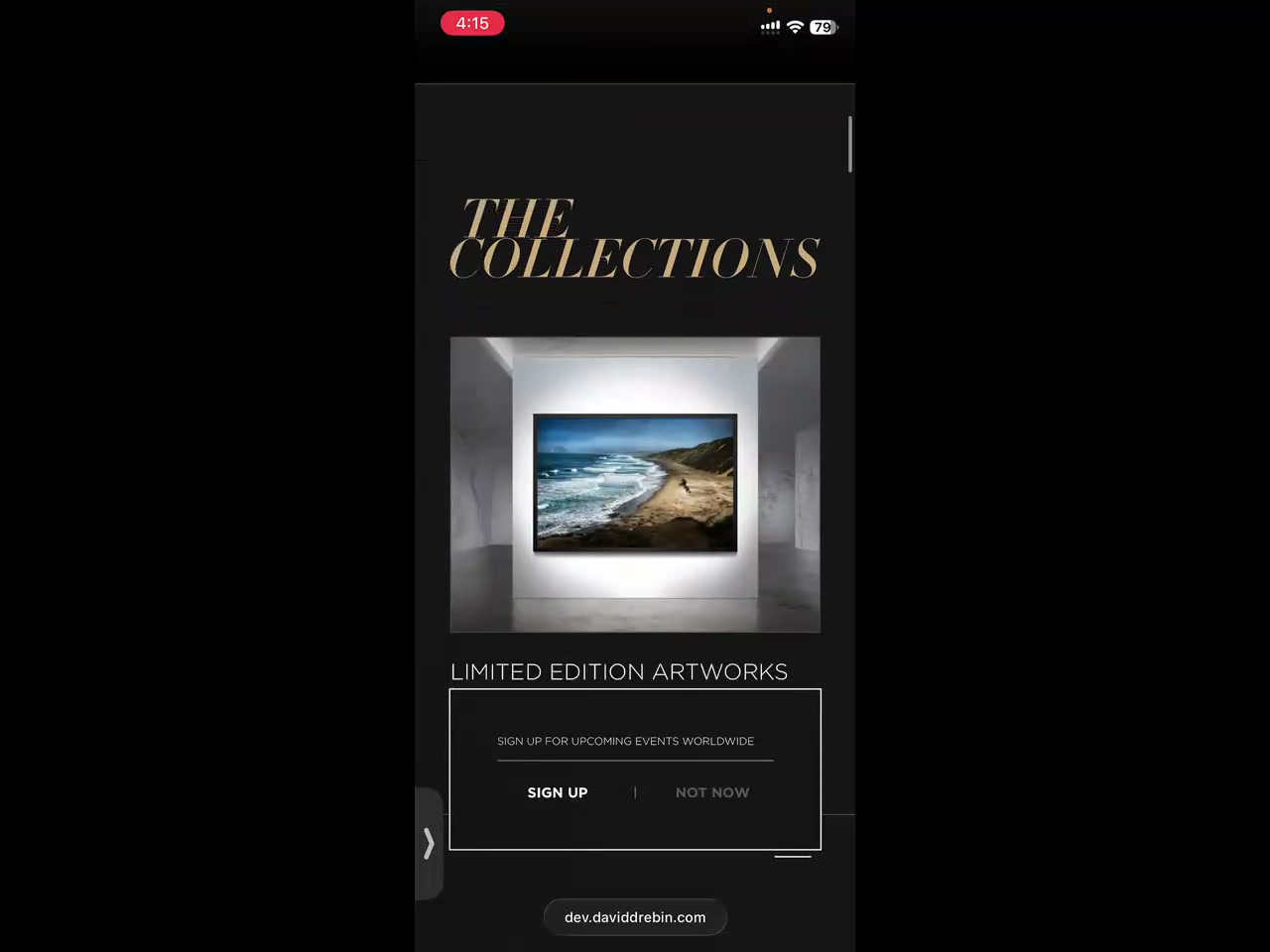 Zoom recording preview